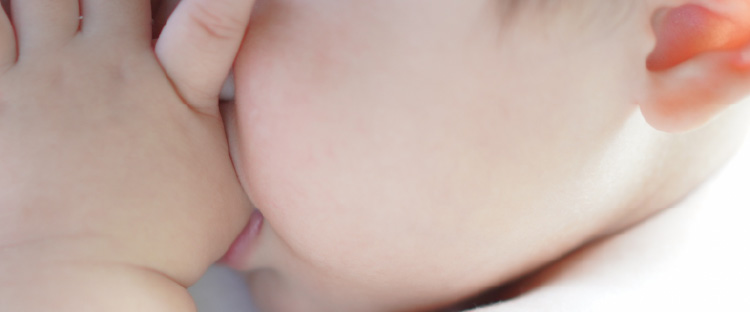 赤ちゃん基準の安全繊維