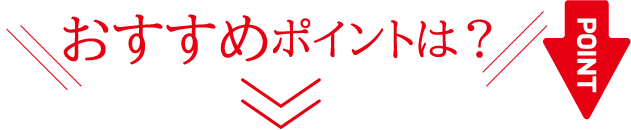 こだわりポイントは？