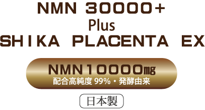 ＮＭＮ ３００００＋ Plus ＳＨＩＫＡ　ＰＬＡＣＥＮＴＡ　ＥＸ