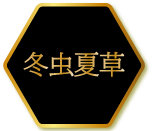 冬虫夏草