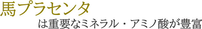 馬プラセンタは重要なミネラル・アミノ酸が豊富