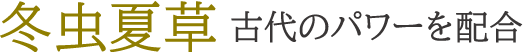 冬虫夏草古代のパワーを配合