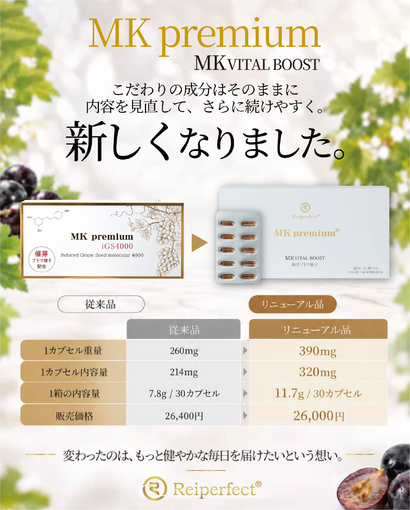 MK プレミアム　新しくなりました。